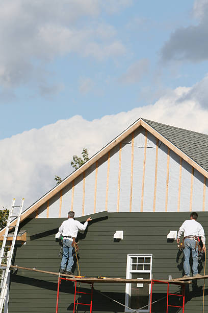 Best Brick Veneer Siding  in Edgemont Park, MI